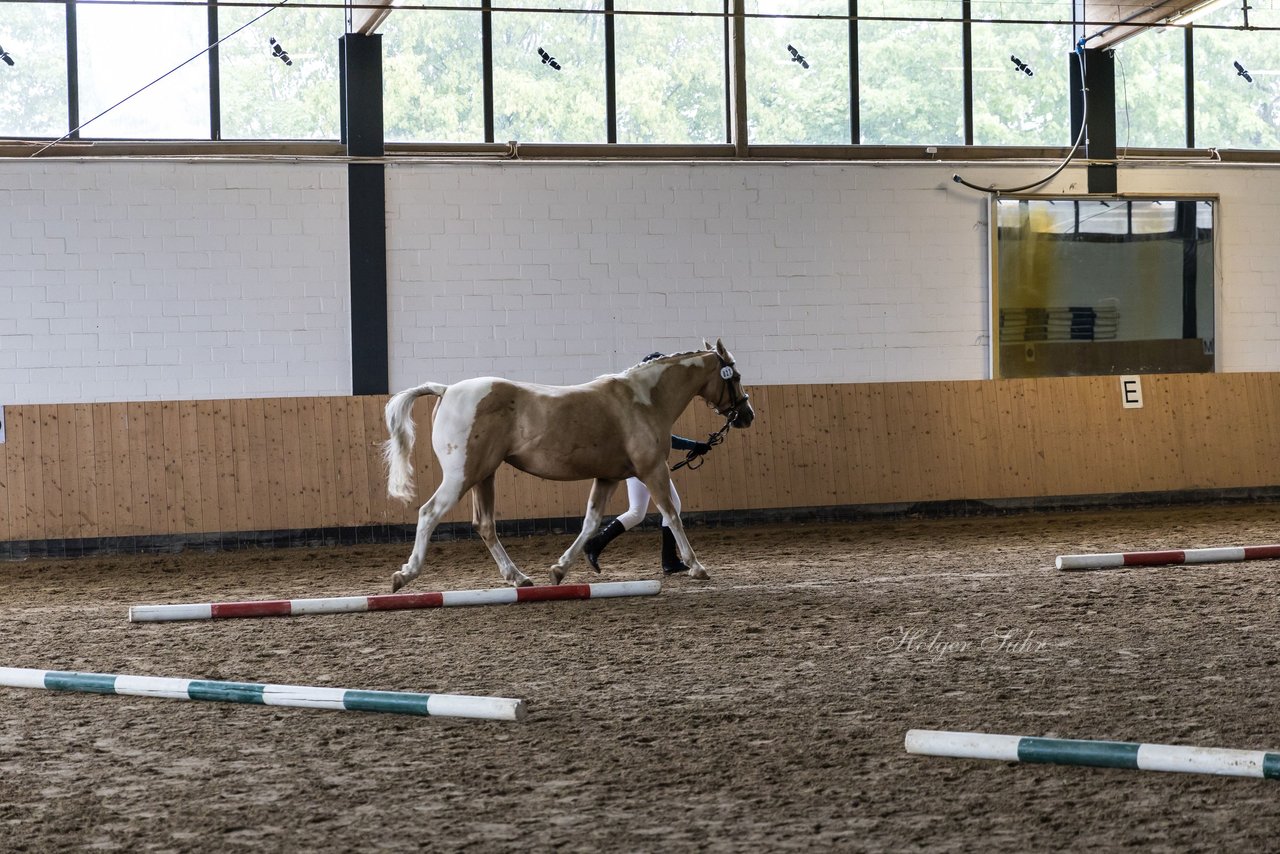 Bild 41 - Pony Akademie Turnier